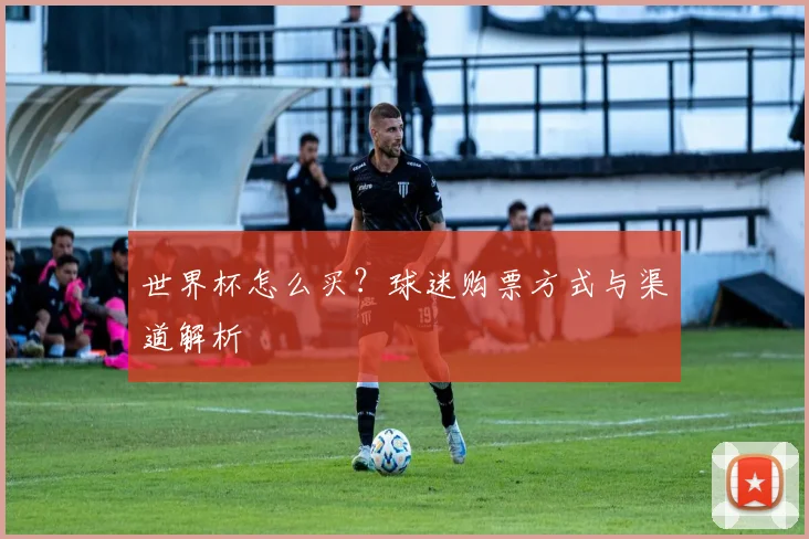 世界杯怎么买?球迷购票方式与渠道解析