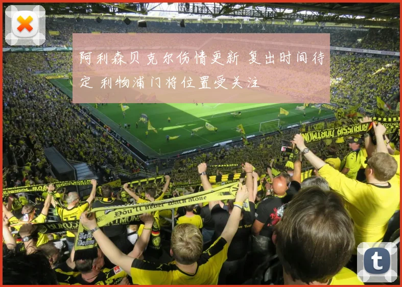 阿利森贝克尔伤情更新 复出时间待定 利物浦门将位置受关注