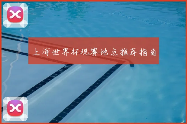 上海世界杯观赛地点推荐指南