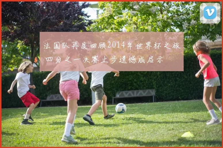 法国队再度回顾2014年世界杯之旅 四分之一决赛止步遗憾成启示