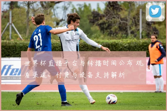 世界杯直播平台与转播时间公布 观看渠道、付费与设备支持解析